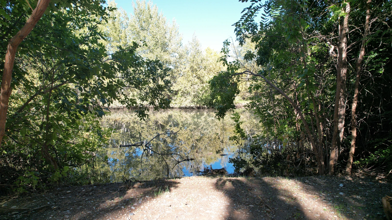La Reserva 1