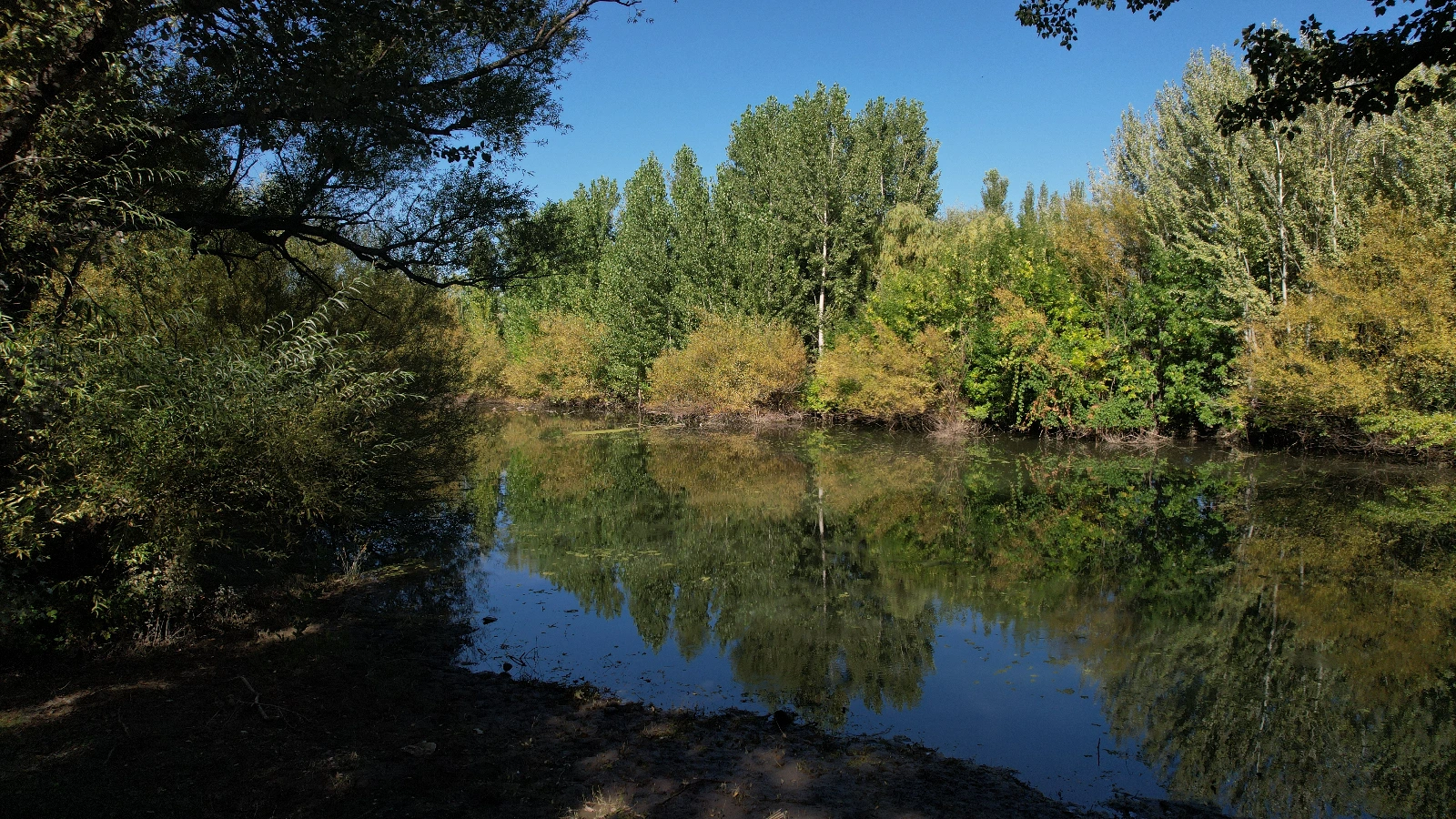 La Reserva 2