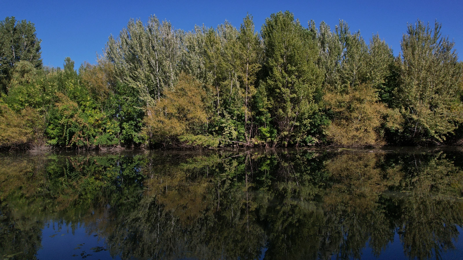 La Reserva 4